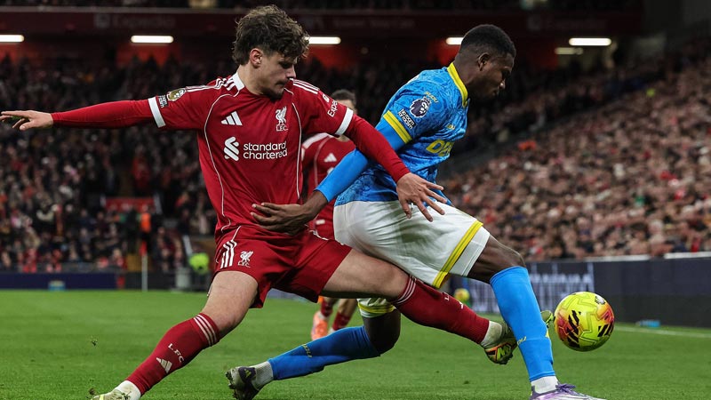 官方：拜仁中场帕利尼亚租借加盟热刺，含2500万欧买断条款